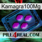 Kamagra100Mg 04